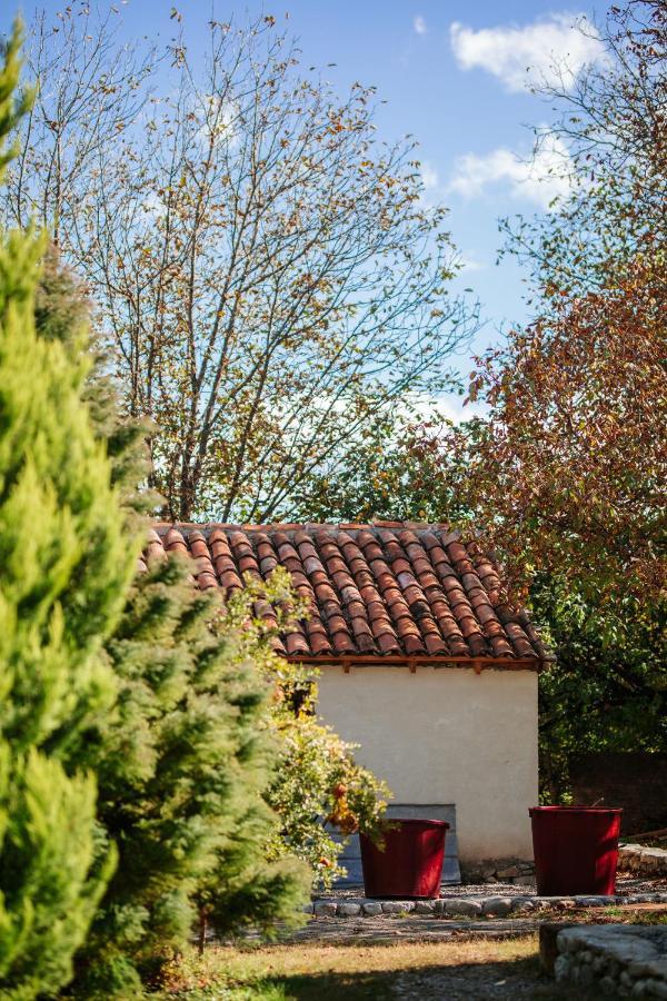 Casa Akacia Hotel Telavi Bagian luar foto