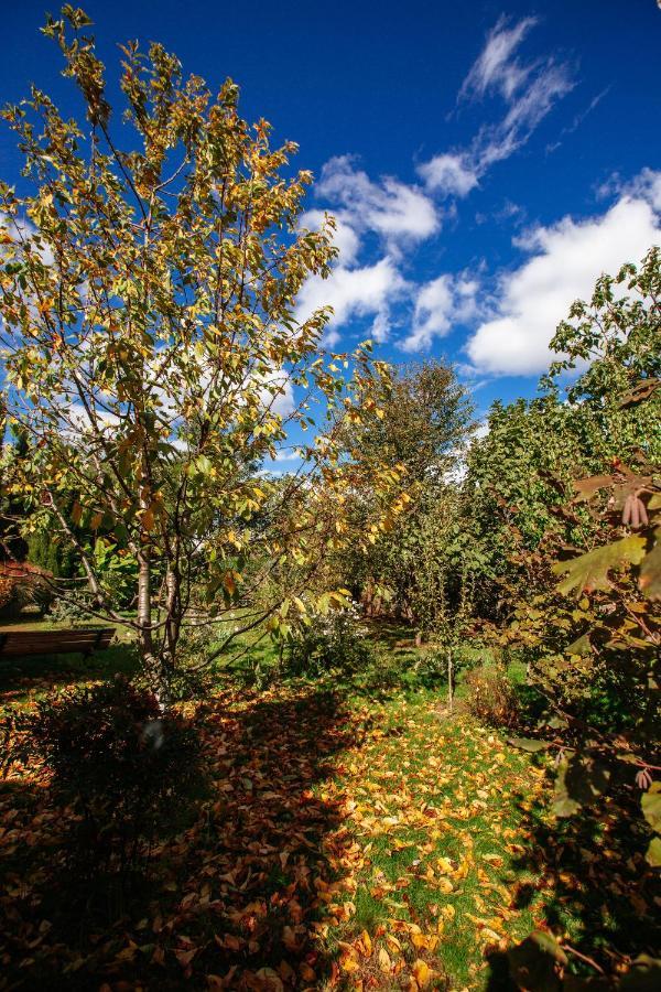 Casa Akacia Hotel Telavi Bagian luar foto