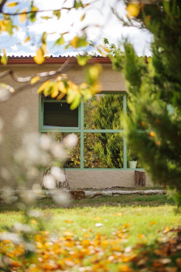 Casa Akacia Hotel Telavi Bagian luar foto