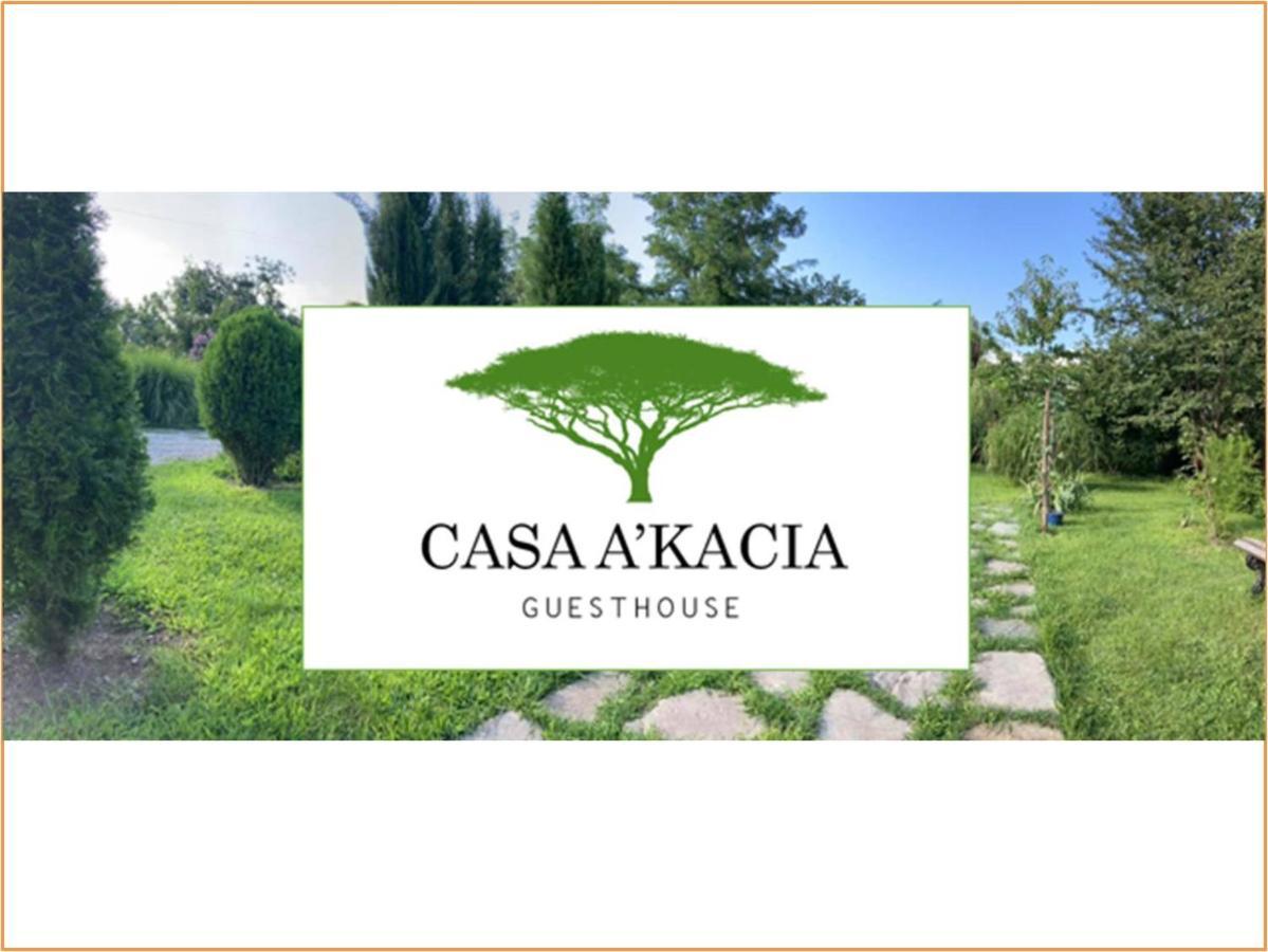 Casa Akacia Hotel Telavi Bagian luar foto
